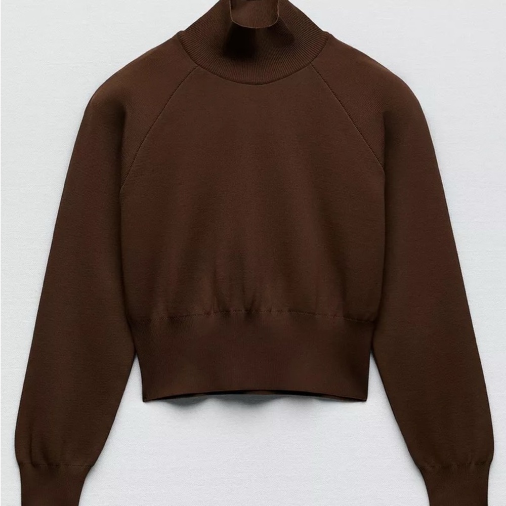 Zara Brown Cowl Neck Cropped Sweater